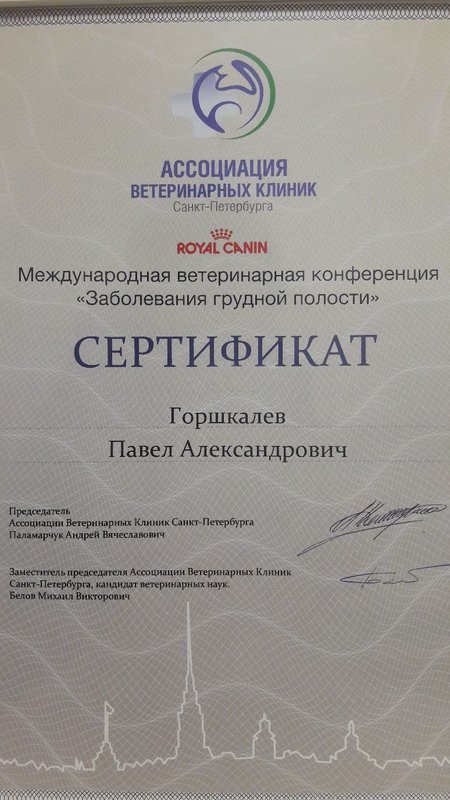 Документ или сертификат