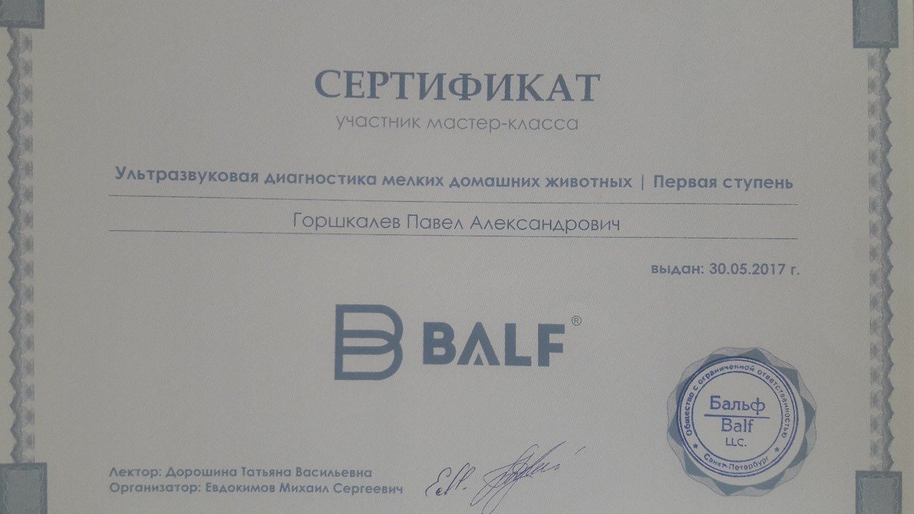 Документ или сертификат