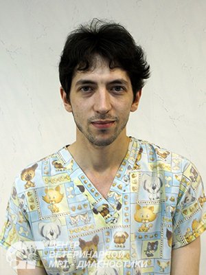 Фото врача Большаков Иван Валерьевич