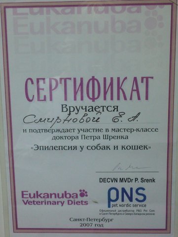 Документ или сертификат