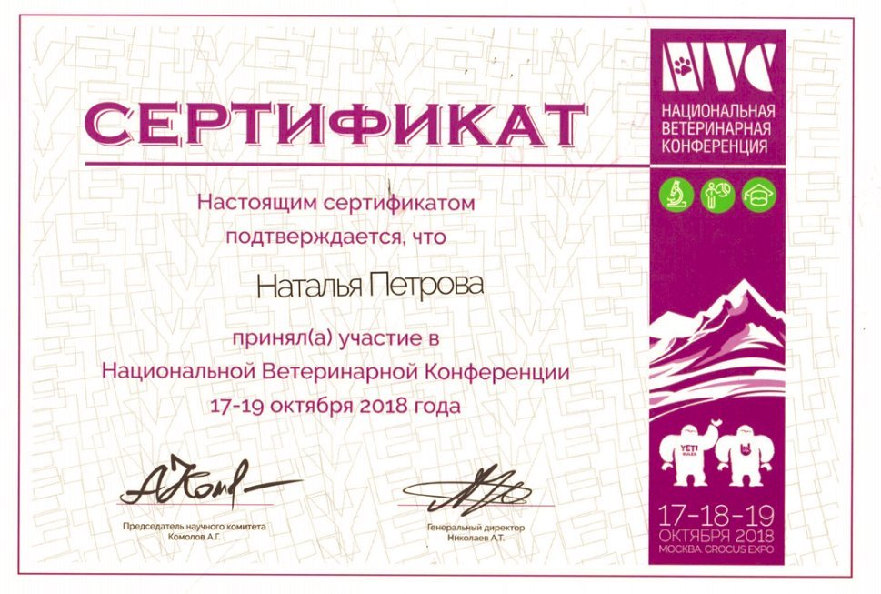 Документ или сертификат
