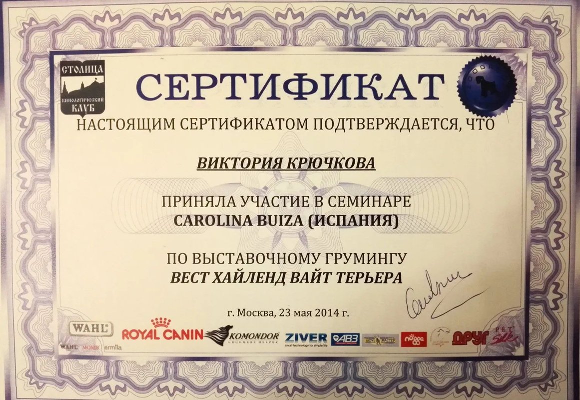 Документ или сертификат