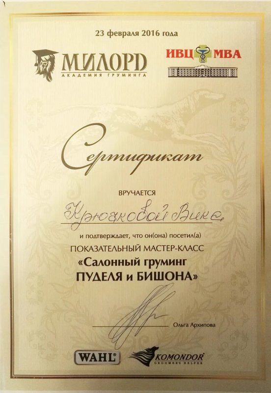 Документ или сертификат