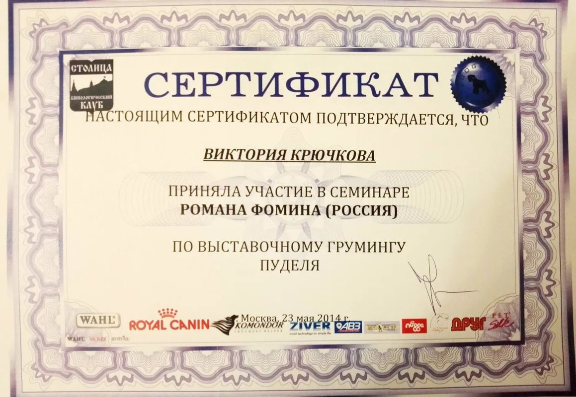 Документ или сертификат