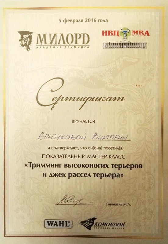 Документ или сертификат