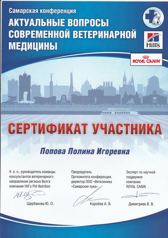 Документ или сертификат