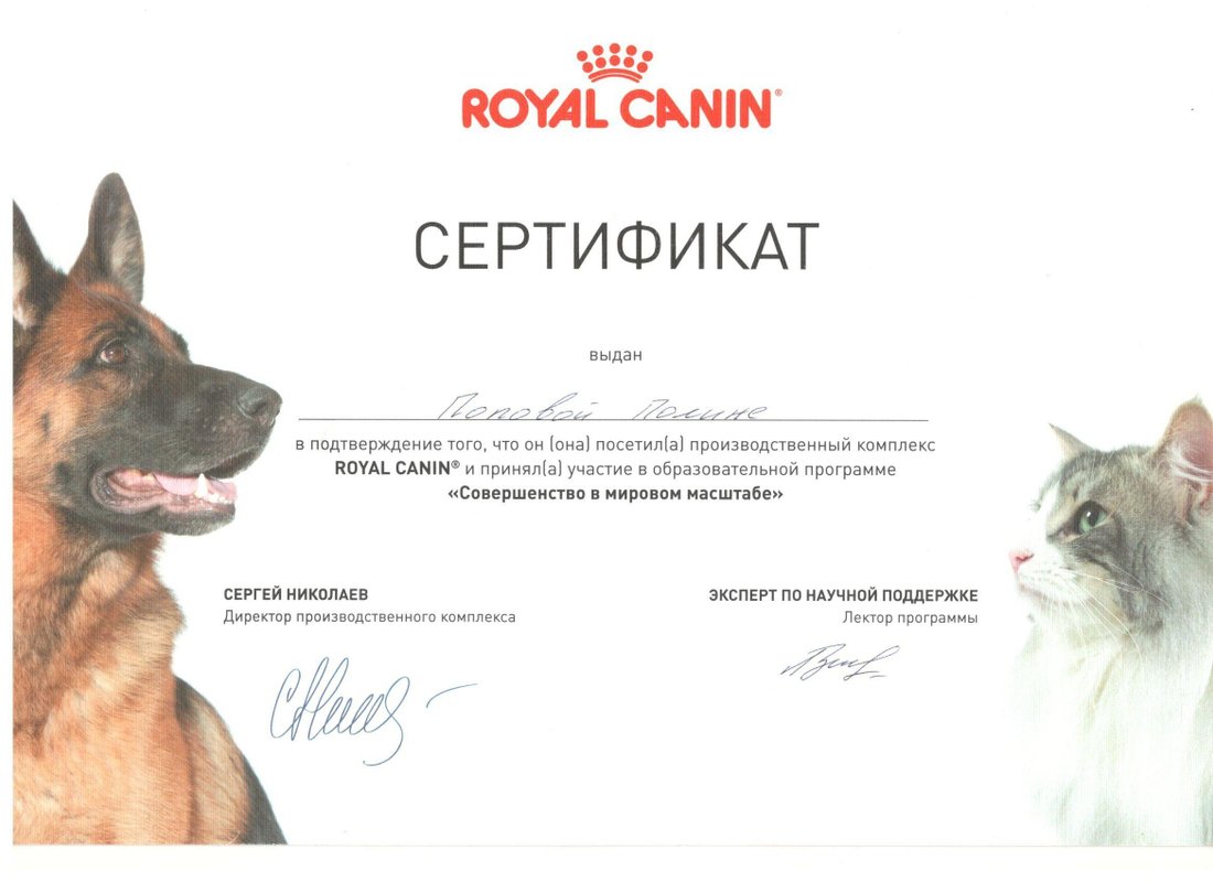 Документ или сертификат