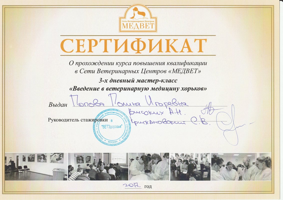 Документ или сертификат