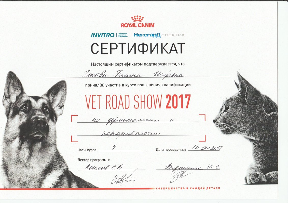 Документ или сертификат