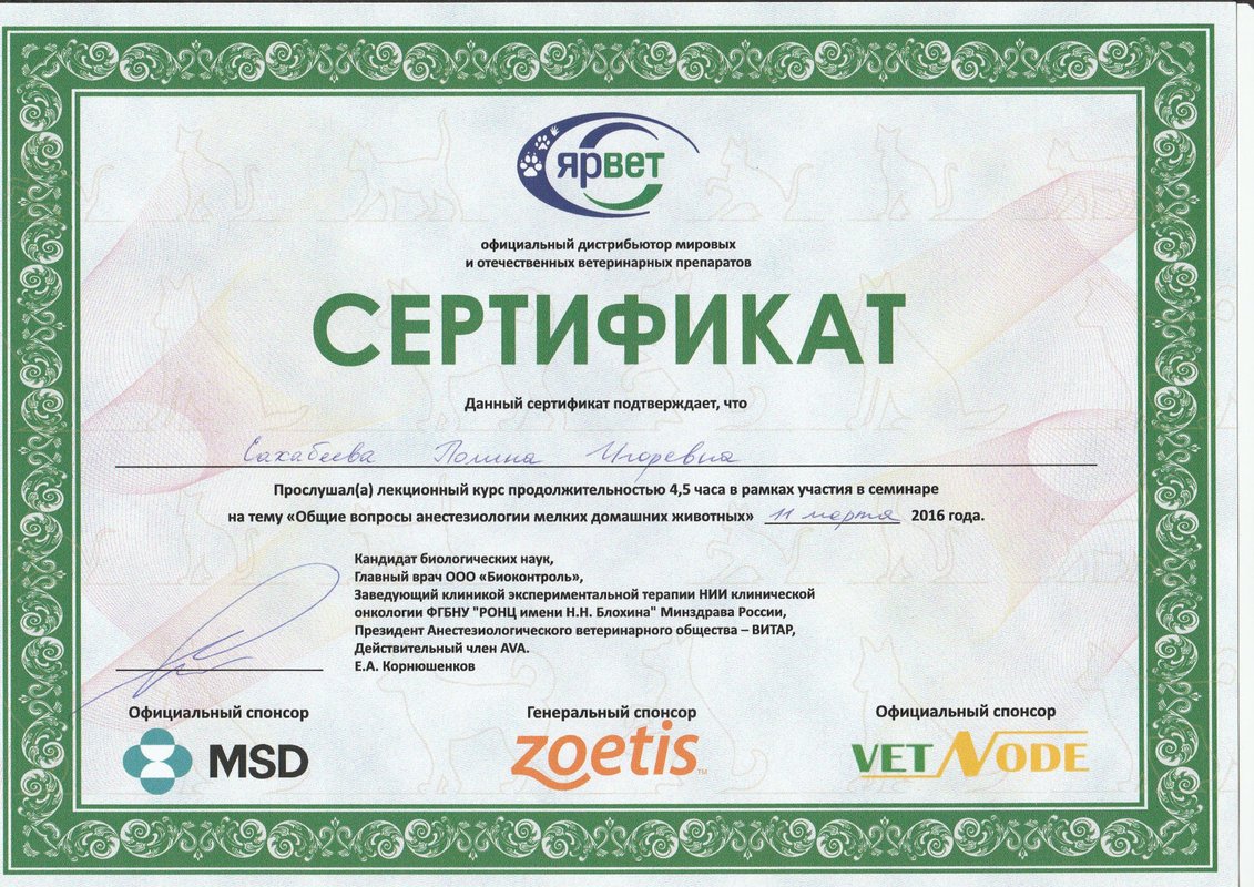 Документ или сертификат