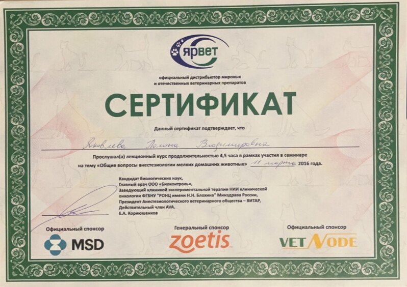 Документ или сертификат