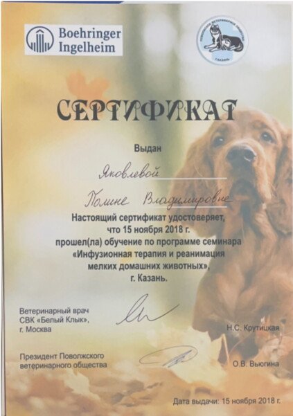 Документ или сертификат