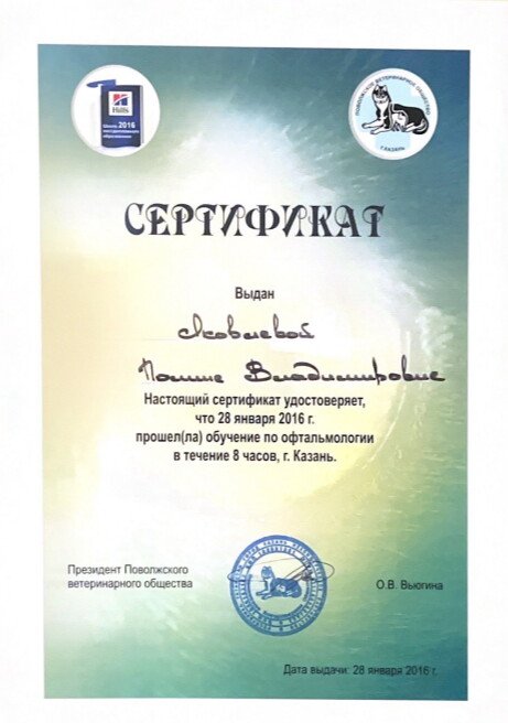 Документ или сертификат
