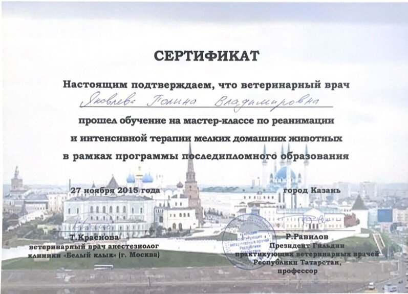 Документ или сертификат