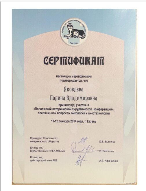 Документ или сертификат