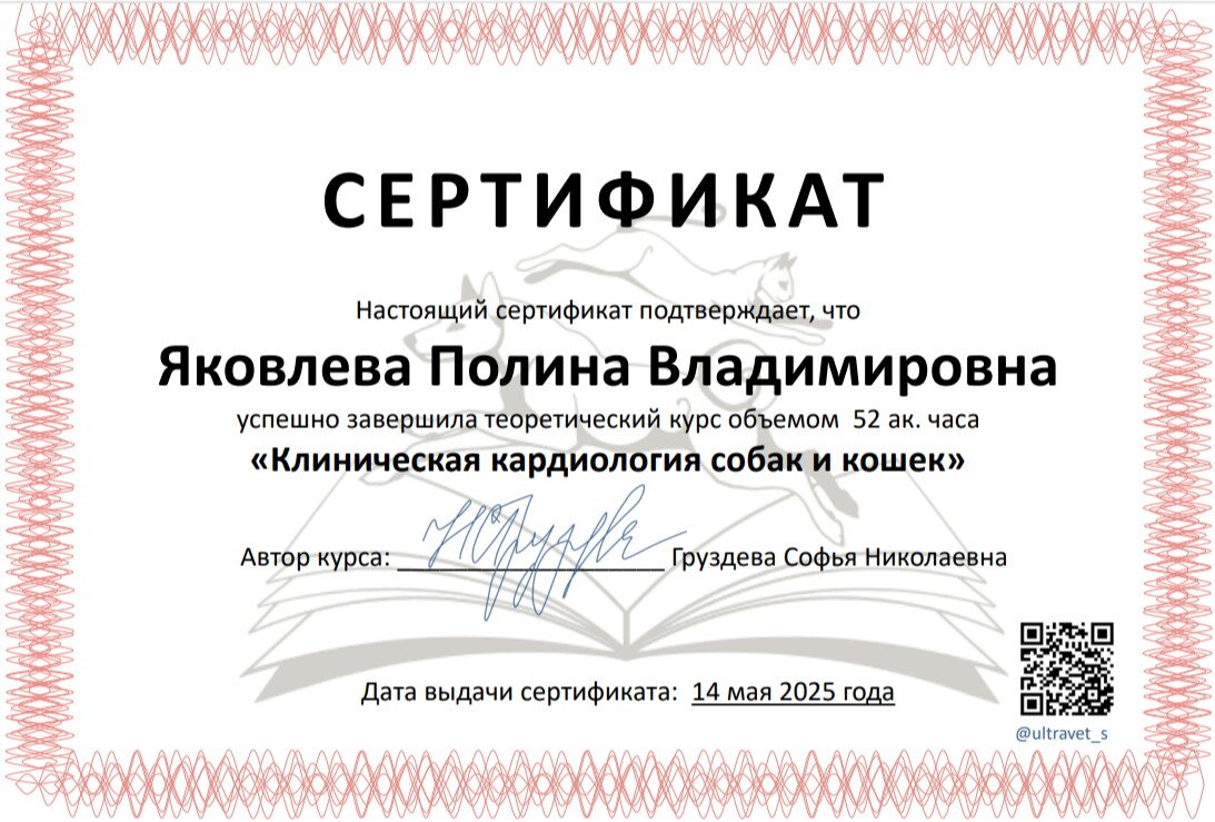 Документ или сертификат