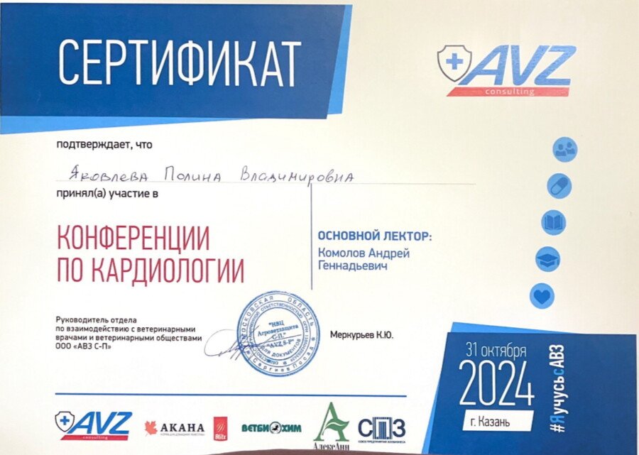 Документ или сертификат