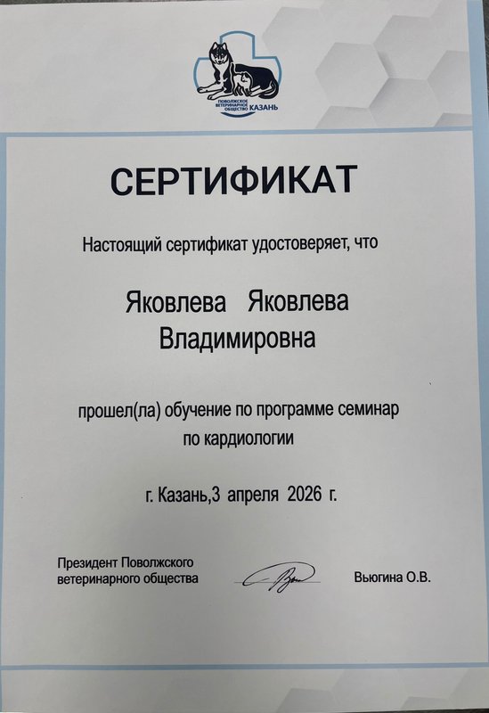 Документ или сертификат