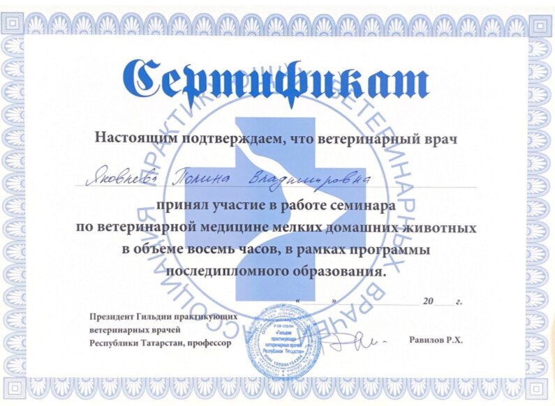Документ или сертификат
