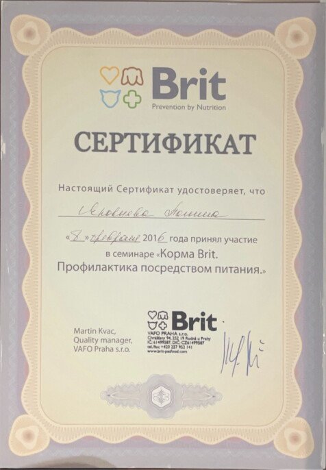Документ или сертификат