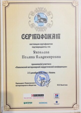 Документ или сертификат