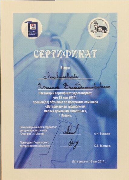Документ или сертификат