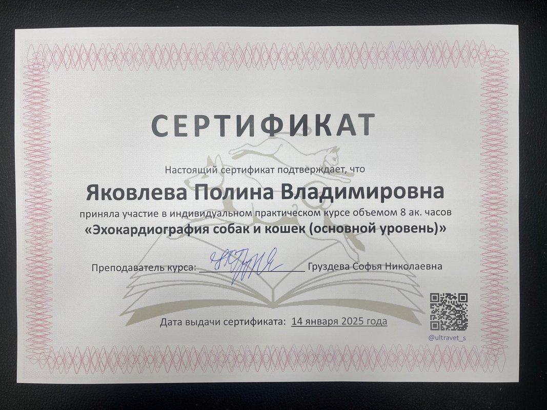 Документ или сертификат