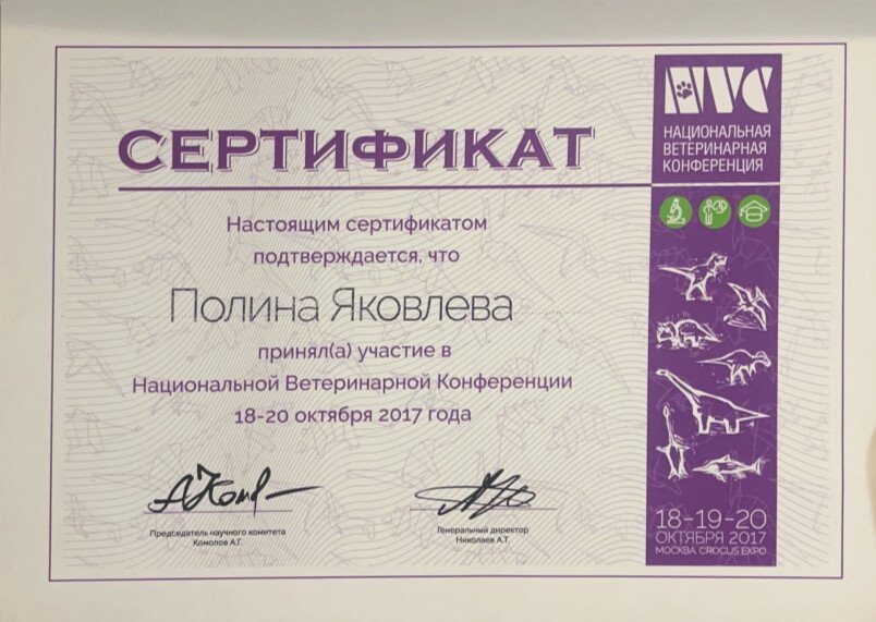 Документ или сертификат
