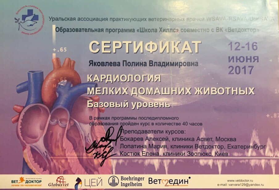 Документ или сертификат