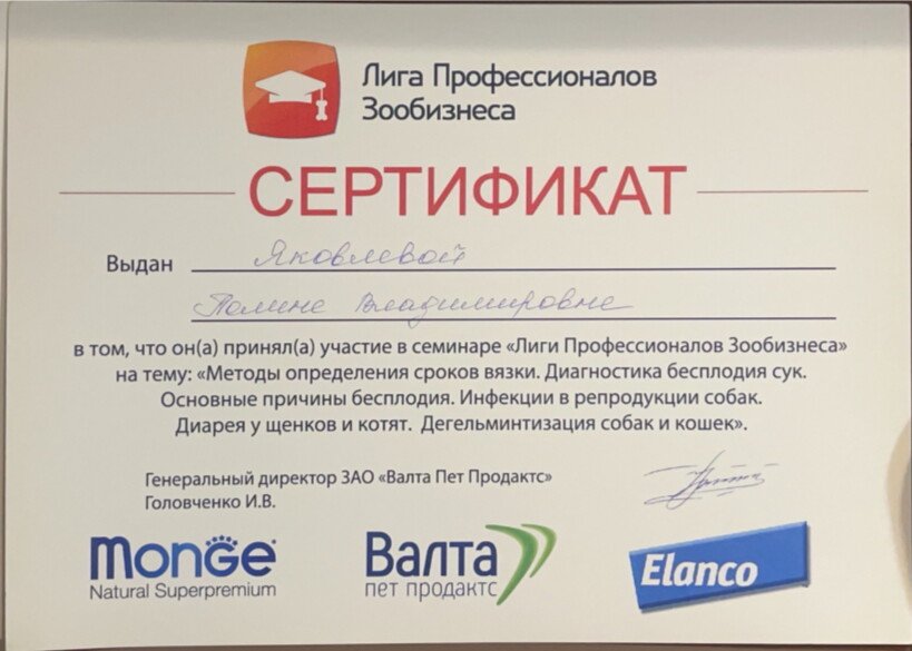 Документ или сертификат