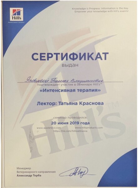 Документ или сертификат