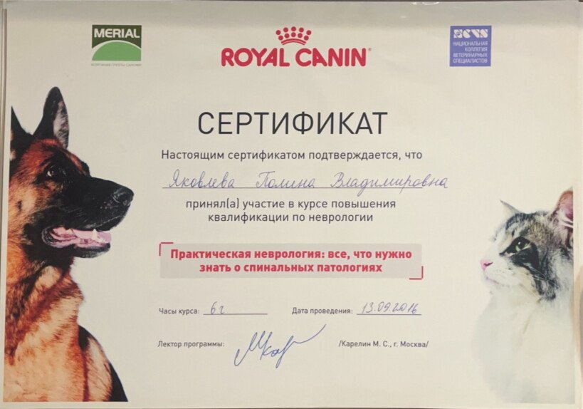 Документ или сертификат