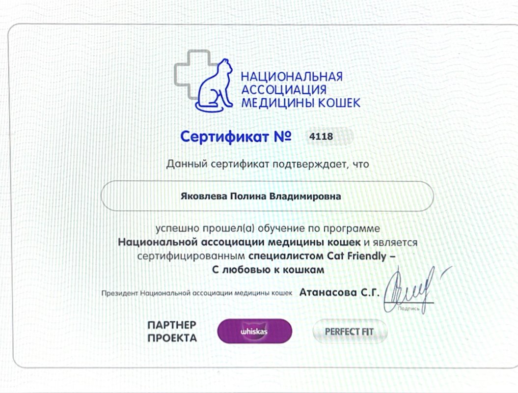Документ или сертификат