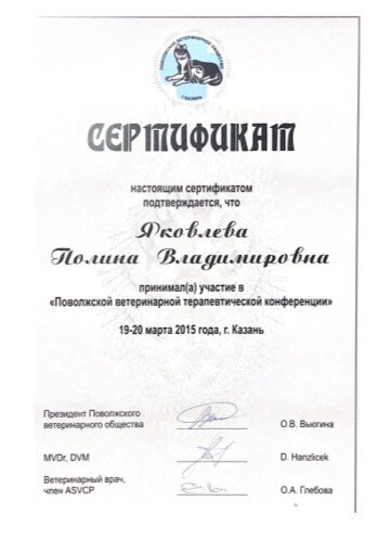 Документ или сертификат