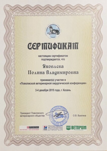 Документ или сертификат
