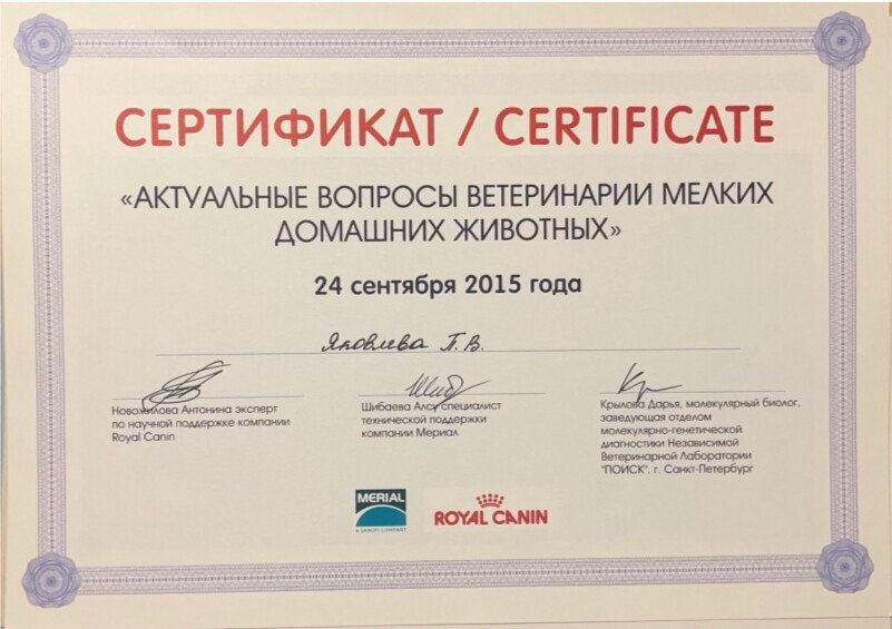 Документ или сертификат