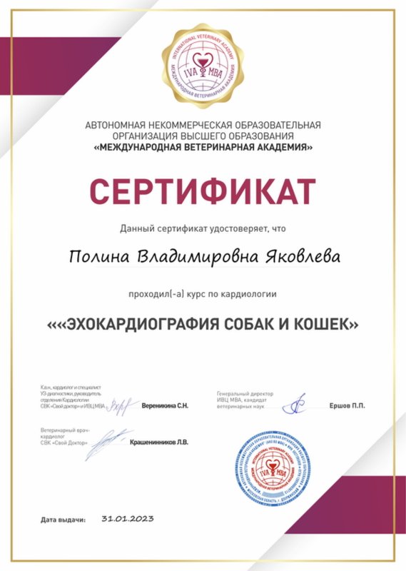 Документ или сертификат
