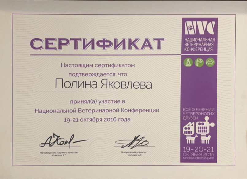 Документ или сертификат