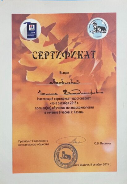 Документ или сертификат