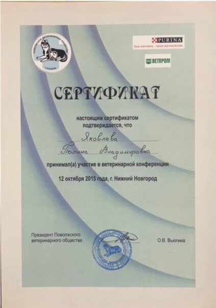 Документ или сертификат