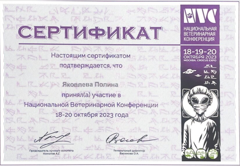 Документ или сертификат
