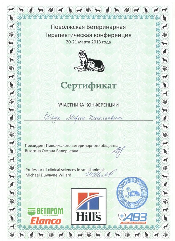 Документ или сертификат