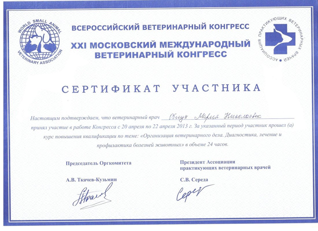 Документ или сертификат
