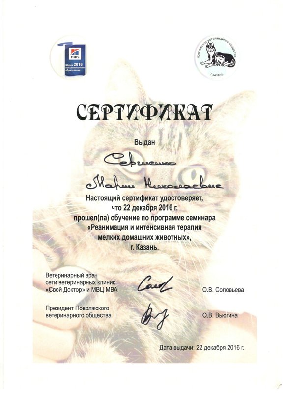 Документ или сертификат