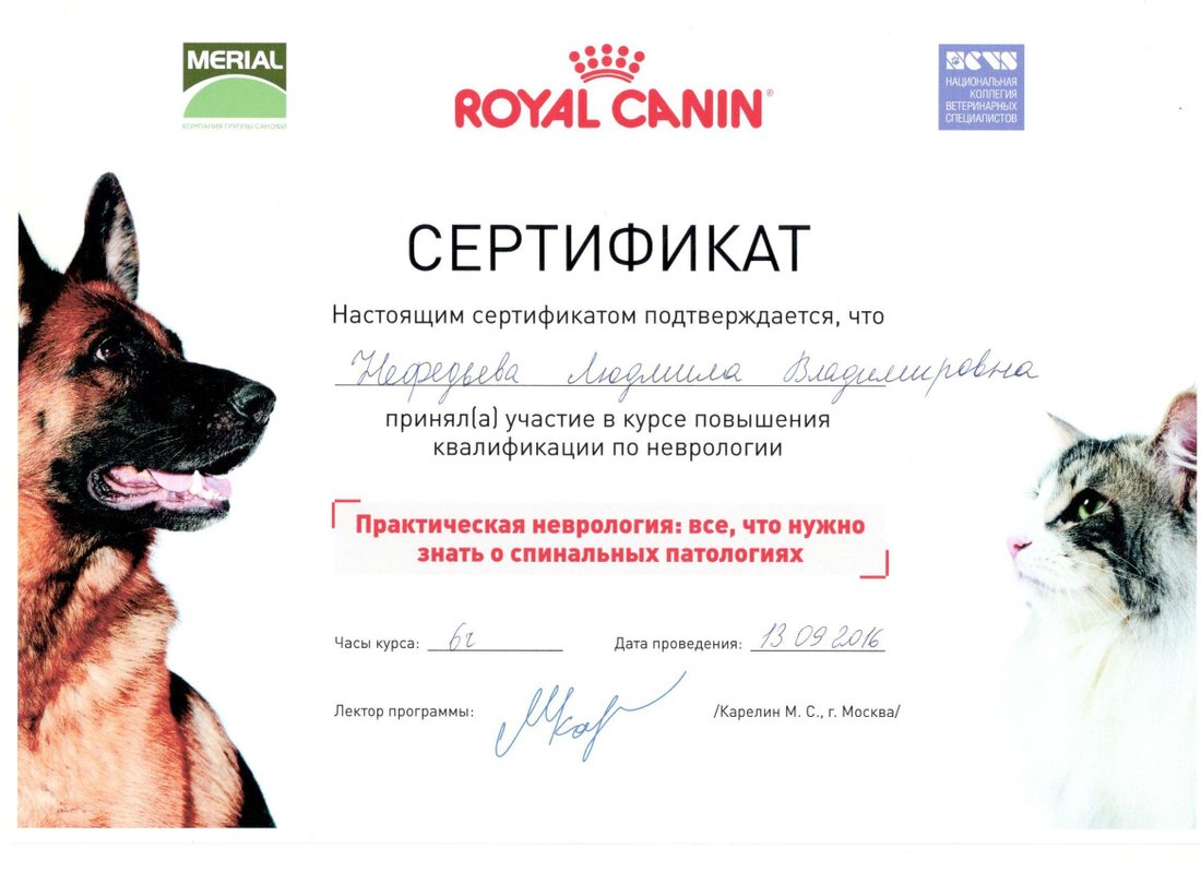 Документ или сертификат