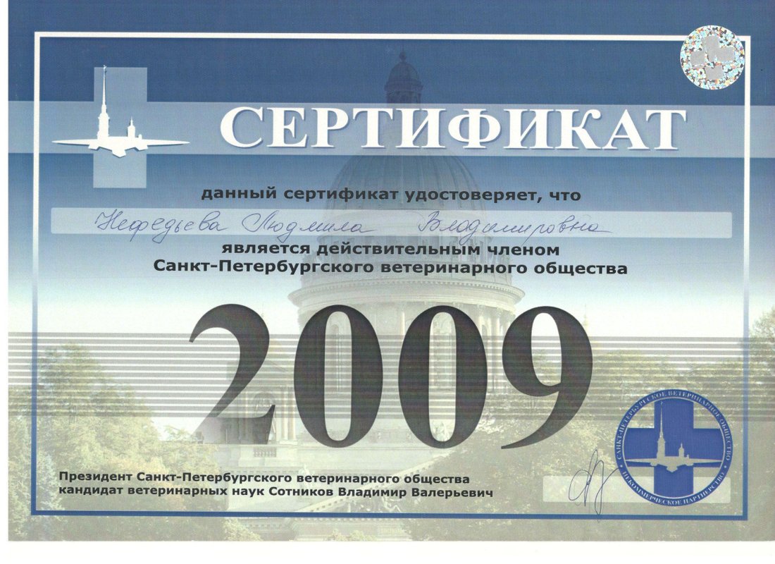 Документ или сертификат