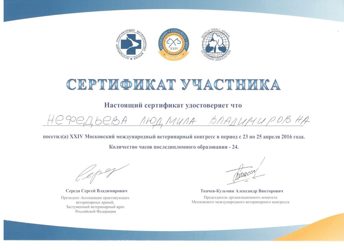 Документ или сертификат