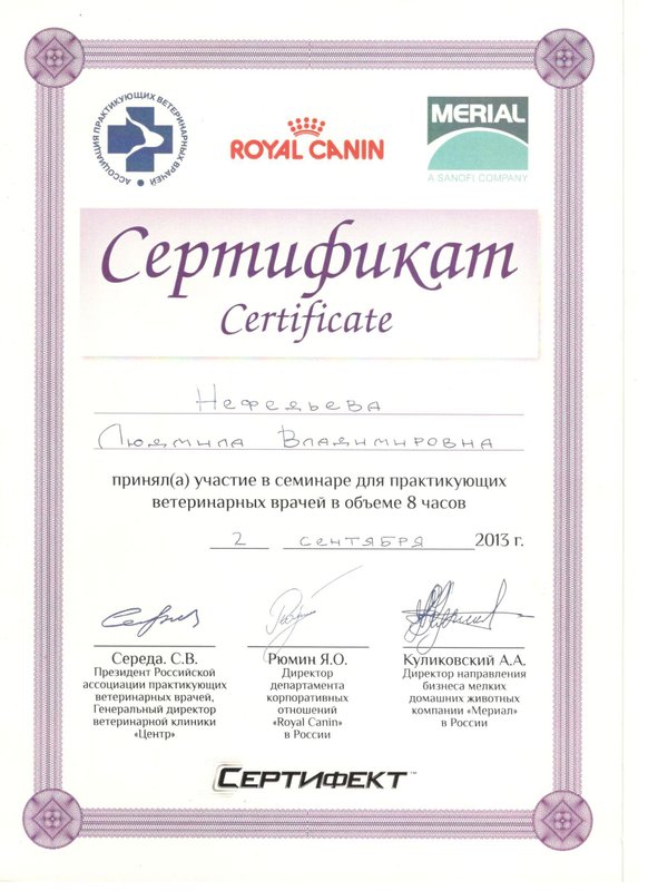 Документ или сертификат