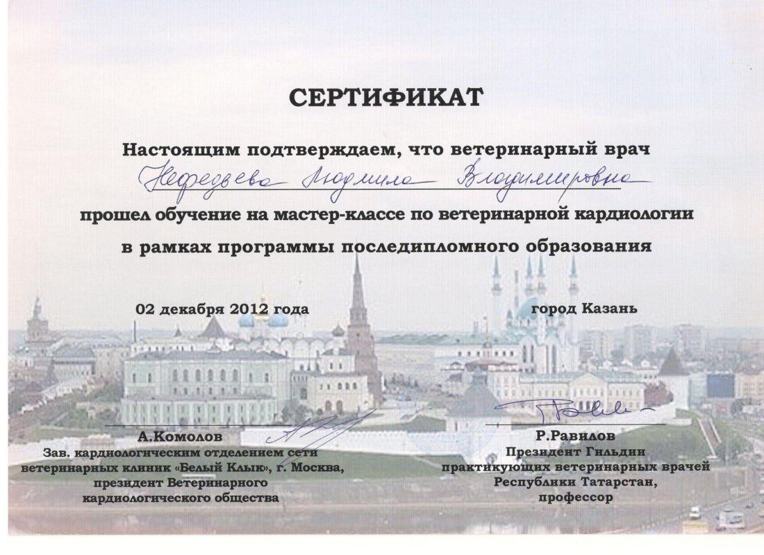 Документ или сертификат