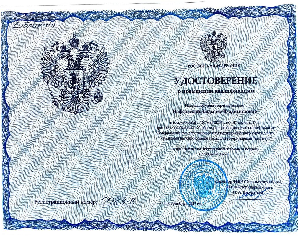 Документ или сертификат